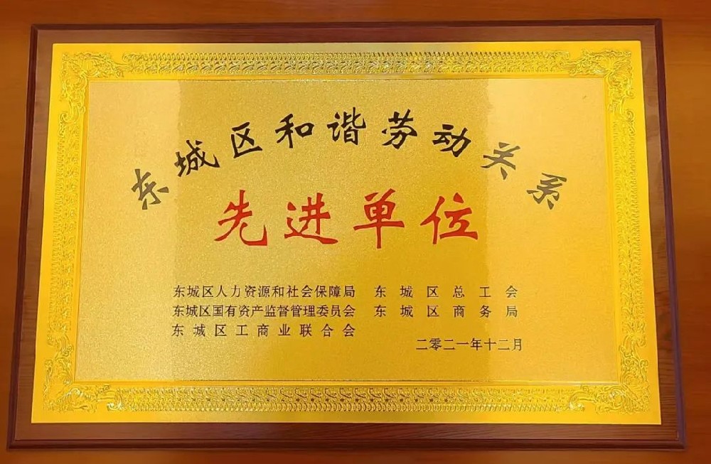 大龍集團(tuán)榮獲“東城區(qū)和諧勞動(dòng)關(guān)系先進(jìn)單位”光榮稱(chēng)號(hào)